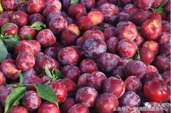 糖尿病人吃什麼水果