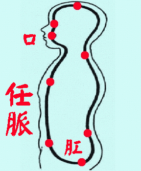 15463510837859.jpg