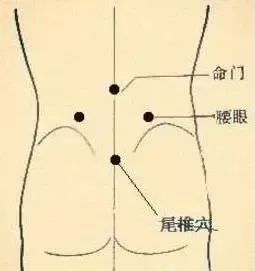 15463510832629.jpg