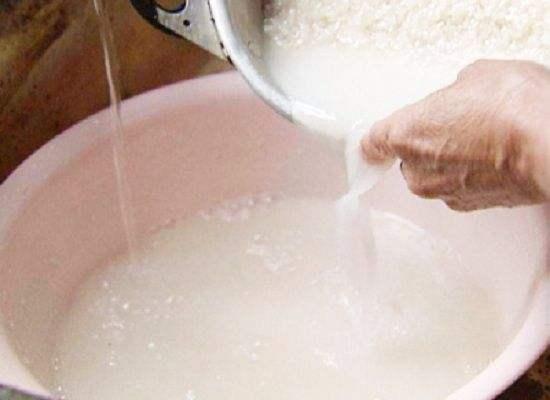 淘米水別單獨用,裡面加點「小佐料」,綠植用了葉子呼呼長!