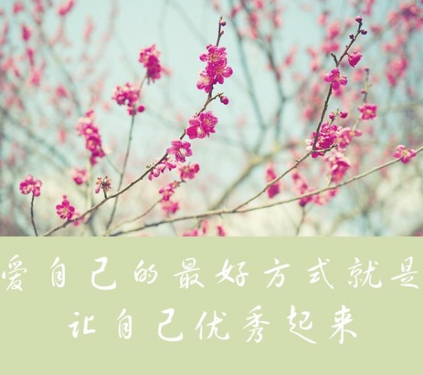 靠自己,爱自己,做自己!