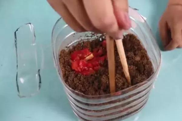 爛掉的西紅柿不要扔,其實比新鮮的還「值錢」,學到就是賺到!