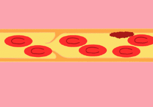 14960545481581.jpg