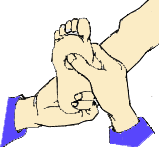 15594735497614.gif