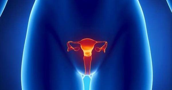 阴部搔痒灼热、白带又稠又多?「念珠菌性阴道