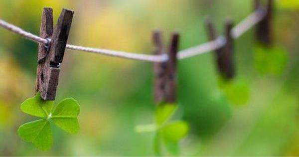 它是排毒「总开关」,每天拍这3处,排出血毒、