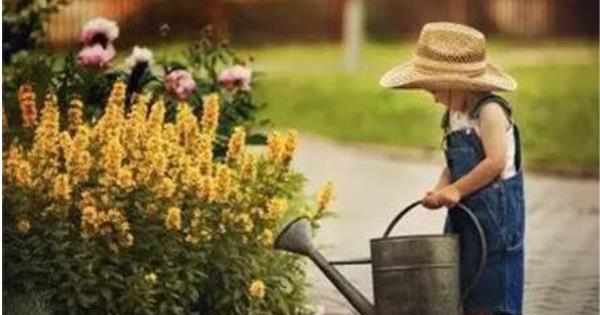 一个方法立即止咳! 冰糖炖梨子 只要两种材料