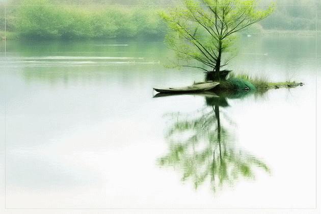 14641629729940.gif