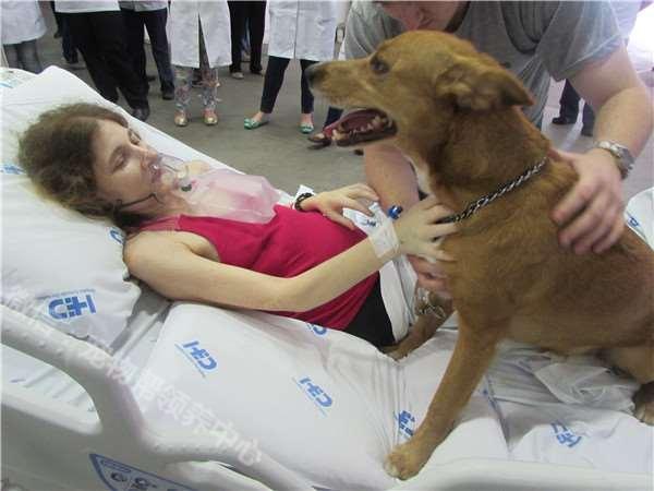 癌末病人撐著一口氣,只為了見愛犬一面,狗兒做了「這個動作」…所有人都哭翻了!!