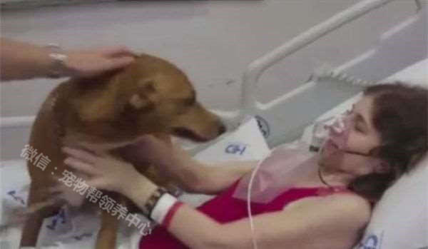 癌末病人撐著一口氣,只為了見愛犬一面,狗兒做了「這個動作」…所有人都哭翻了!!