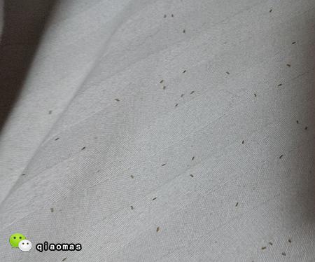 寶寶反覆長蕁麻疹,直到媽媽翻開床墊,密集恐懼症慎點!