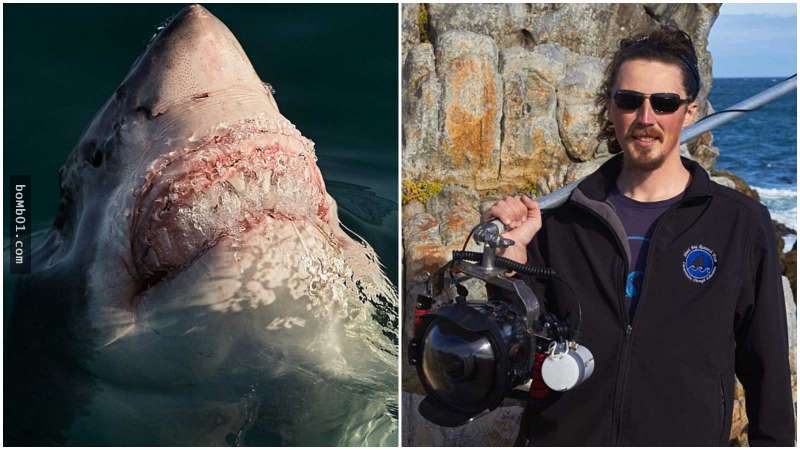 这名男子冒著生命危险拍下「大白鲨张嘴咬他的一瞬间」,结果竟意外