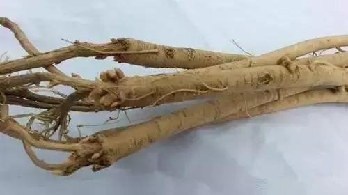 老中醫告訴你,為什麼40歲後老得快,每週喝一次「這個」馬上補回來~