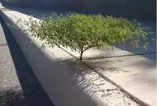 14667753453873.jpg