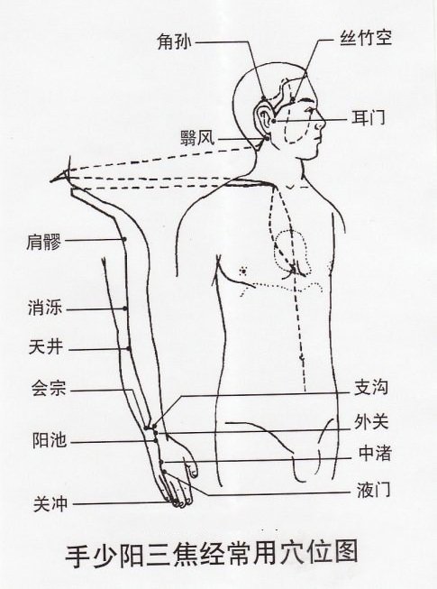 拍打手臂就可以疏通三焦经,内分泌就不会失调