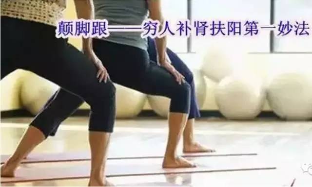 14770044544090.jpg