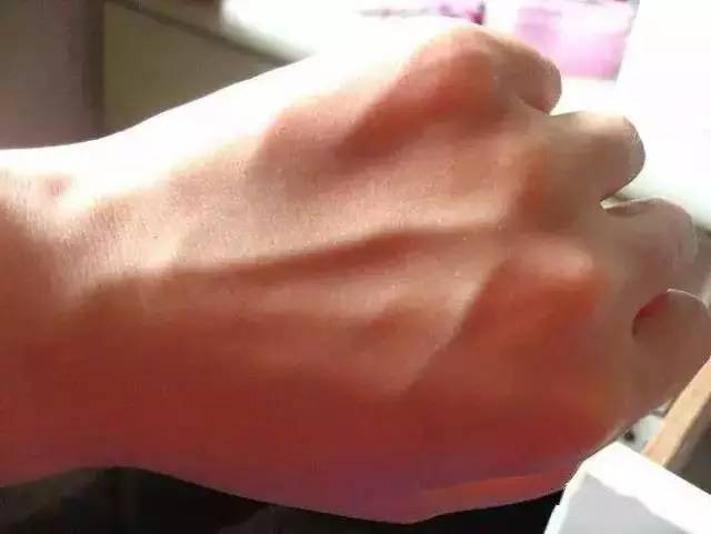 1482806549224.jpg