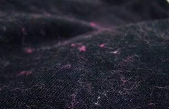 1483329907804.jpg
