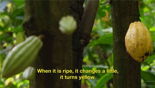 14590623647122.png