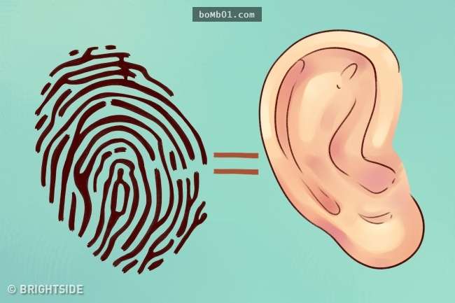 我們的耳朵除了用來聽東西，沒想到還可以「看出」你的健康狀況！