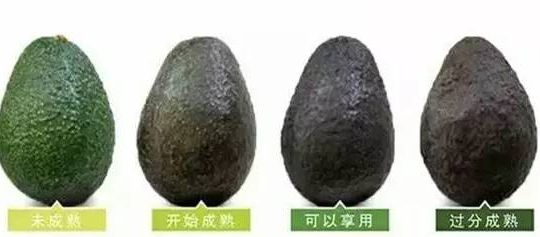 14894720768223.png