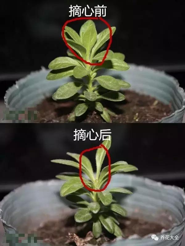 14902395002962.jpg