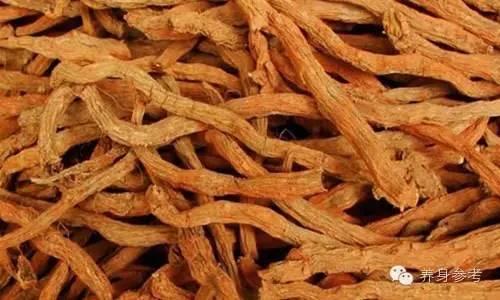 它們是血管