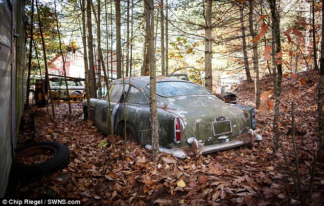 這輛豪車被棄樹林40年 如今身價暴漲百倍