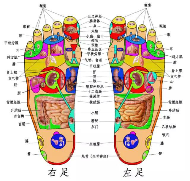 腰疼、頸椎疼、膝蓋疼,一病一絕招!不錯~值得一看!