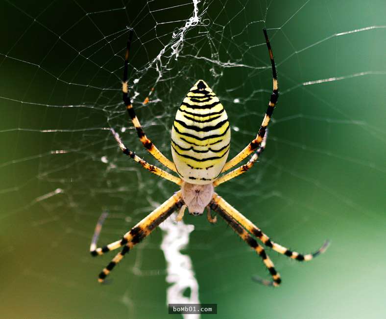 10大恐惧症「看出连你也没察觉的真实个性」