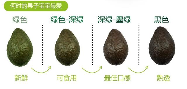 牛油果成「明星水果」,在非洲滿地沒人要,它為何能那麼火?