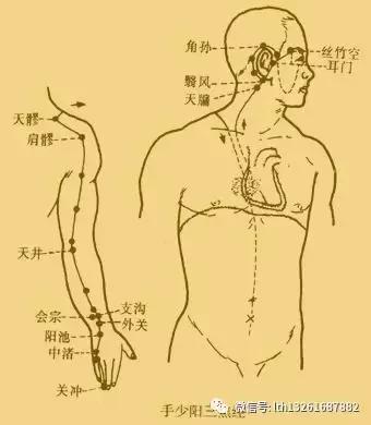 三焦不通百病生,李鐵紅大夫教你正確打通方式!
