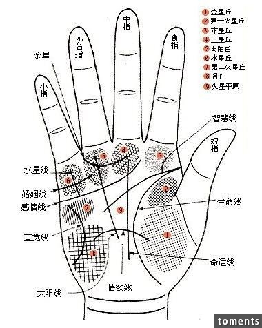 失業女子在算命攤停了下說:「師父幫我算個命吧!」結果算命師先對她笑笑說:「您別坐下...因為....」聽完後,女子竟是