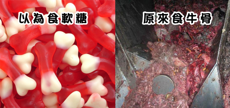 震驚!千萬不要再吃「軟糖」了!請看看它是怎樣做成的