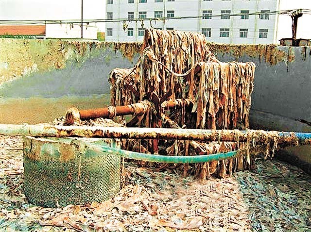 震驚!千萬不要再吃「軟糖」了!請看看它是怎樣做成的