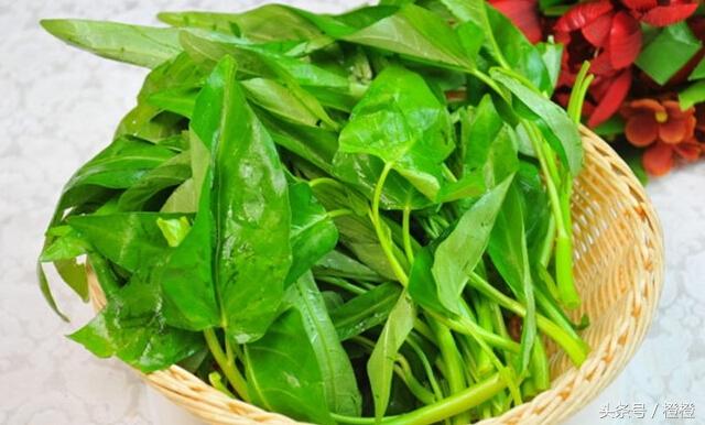 都說空心菜是毒中之王,真相究竟如何呢?還能吃嗎?