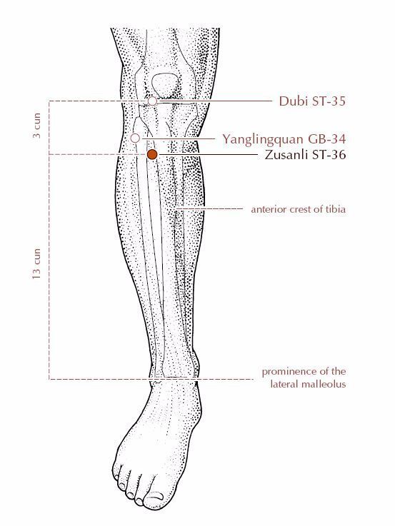 堪称「膝盖救世主」两大穴位,「关节逆龄」,远离「坐骨神经痛」这样搓