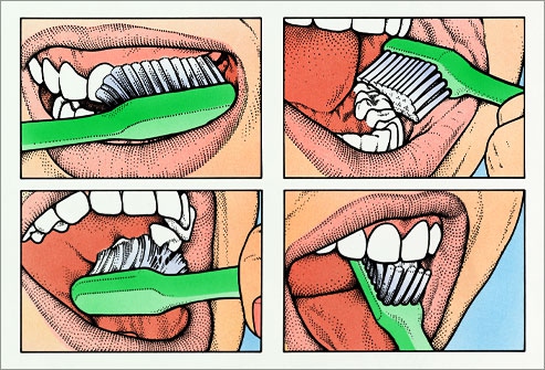 「刷牙」的正確方法：「這樣」刷牙等於自殘，99%的人都刷錯了！