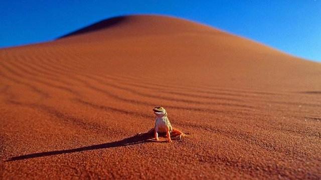 地球沙漠面積占10.3%，有很多地區濕潤為什麼會形成大沙漠