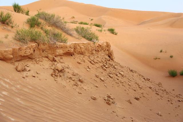地球沙漠面積占10.3%，有很多地區濕潤為什麼會形成大沙漠