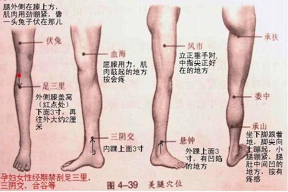 每天按摩這個穴道20分鐘,幫助新陳代謝消水腫!