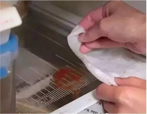 【實用】「廚房紙巾」不為人知的10種妙用，第一個你就不知道！原來家裡有這麼棒的「小幫手」！
