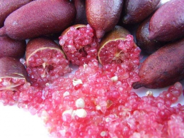 女人年過40歲,一定要多吃「這9種食物」,滿臉的膠原蛋白,讓你看起來比同齡人年輕10歲!