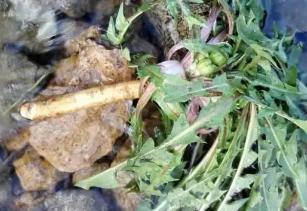 身上長這「2種痣」,要小心「肝臟病變」,最好去醫院檢查一下!