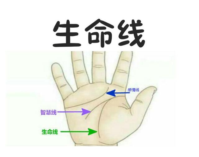 如果生命線分叉,會發生什麼呢?