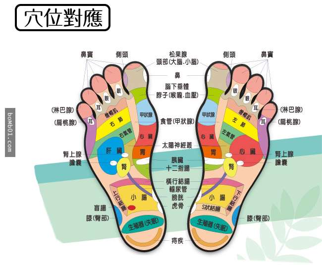脚的不同部位代表著人体各个器官,所以通过做脚底按摩可以达到身体