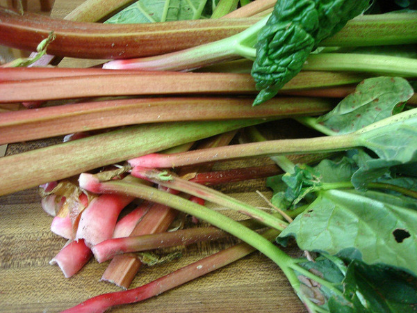 Rhubarb
Rhubarb is a vegetable that is normally pickled or baked into pies. It contains oxalic acid that can be harmful when consumed in excessive amounts.