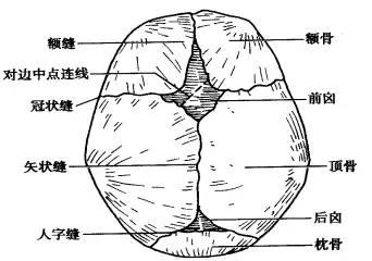 寶寶頭頂的「天窗」竟是看病窗口，你會透過囟門看嬰兒的健康狀況嗎？