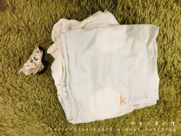 CIMG3272.JPG CIMG3272.JPG