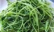 春吃芽,5種芽菜,5個功效,5款做法!